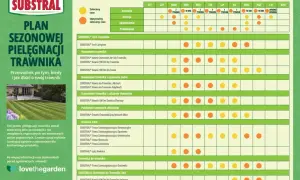 Plan sezonowej pielęgnacji trawnika: kiedy nawożenie trawnika i inne zabiegi w zależności od miesiąca.
