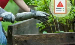 Ręce w rękawiczkach przygotowują ziemię do nawożenia roślin. Obok symbol ostrzeżenia i zielone znaczniki.