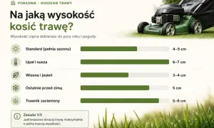 Ostatnie przed zimą trawę kosimy na 5 cm. Poradnik podpowiada, kiedy kosić trawę przed zimą, by była zdrowa.