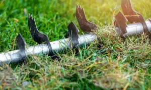 Metalowe ostrza wertykulatora na trawniku, gotowe do pracy. Wertykulacja jesienią to klucz do zdrowej trawy wiosną.