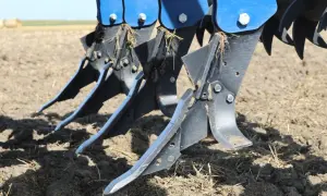 Zęby kultywatora pracują w ziemi, spulchniając ją. To idealne rozwiązanie, czym spulchnić ziemię przed siewem.