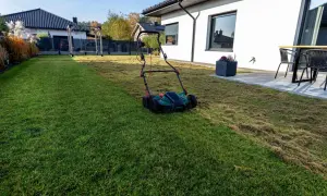Wertykulacja trawnika przed i po: zielona, gęsta trawa po jednej stronie, po drugiej wertykulowana z widocznym filcem.