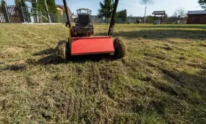 Wertykulator pracuje na trawniku, usuwając filc i przygotowując go do wiosennej pielęgnacji. Widać świeże nacięcia w ziemi.