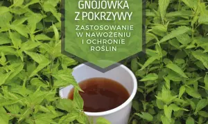 Gnojówka z pokrzywy w wiaderku, otoczona przez świeże pokrzywy. Idealna do nawożenia i ochrony roślin.