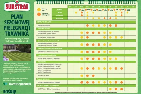 Plan sezonowej pielęgnacji trawnika: kiedy nawożenie trawnika i inne zabiegi w zależności od miesiąca.
