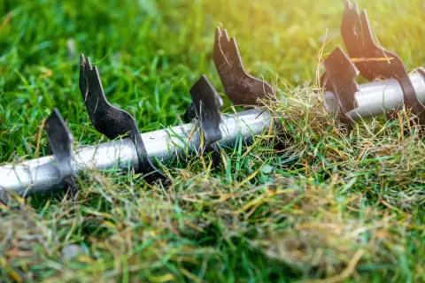 Metalowe ostrza wertykulatora na trawniku, gotowe do pracy. Wertykulacja jesienią to klucz do zdrowej trawy wiosną.