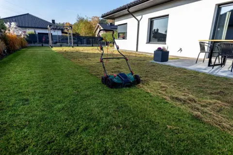 Wertykulacja trawnika przed i po: zielona, gęsta trawa po jednej stronie, po drugiej wertykulowana z widocznym filcem.