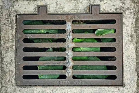 Metalowa kratka kanalizacyjna z zielonymi liśćmi, element drenażu powierzchniowego ogrodu.