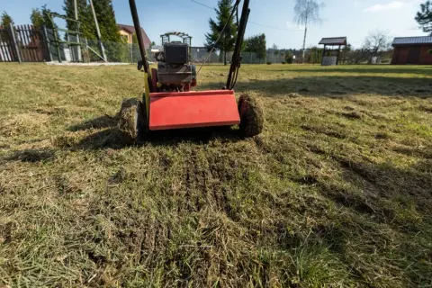 Wertykulator pracuje na trawniku, usuwając filc i przygotowując go do wiosennej pielęgnacji. Widać świeże nacięcia w ziemi.