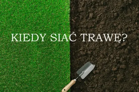 Zielona trawa i ciemna ziemia z łopatką. Napis: KIEDY SIAĆ TRAWĘ? Idealny czas na siew trawy.