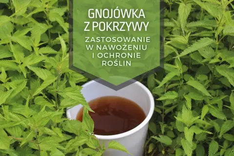 Gnojówka z pokrzywy w wiaderku, otoczona przez świeże pokrzywy. Idealna do nawożenia i ochrony roślin.