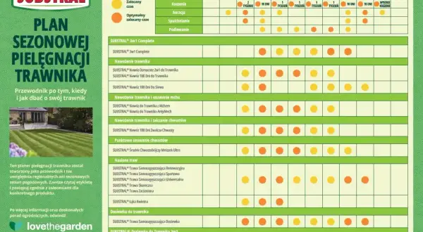 Plan sezonowej pielęgnacji trawnika: kiedy nawożenie trawnika i inne zabiegi w zależności od miesiąca.