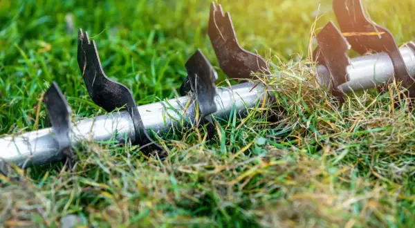 Metalowe ostrza wertykulatora na trawniku, gotowe do pracy. Wertykulacja jesienią to klucz do zdrowej trawy wiosną.