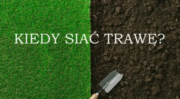 Zielona trawa i ciemna ziemia z łopatką. Napis: KIEDY SIAĆ TRAWĘ? Idealny czas na siew trawy.