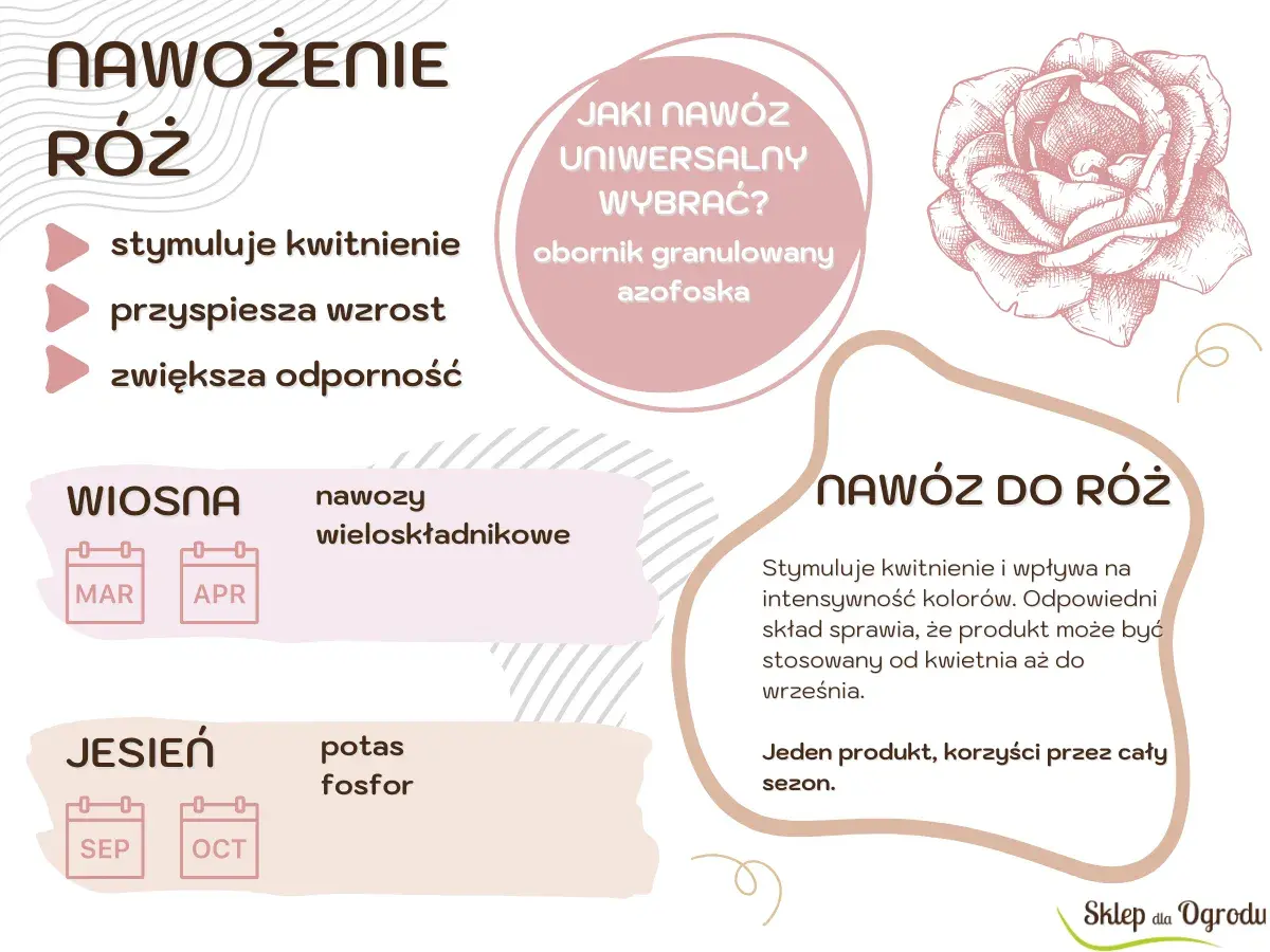 Wskazówki dotyczące nawożenia róż: stymulacja kwitnienia, przyspieszenie wzrostu i zwiększenie odporności. Wiosną nawozy wieloskładnikowe, jesienią potas i fosfor.