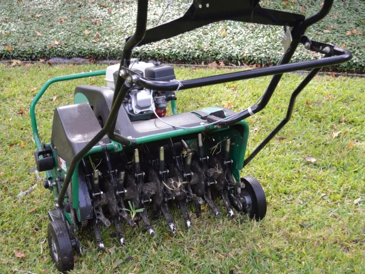 Profesjonalna aeratorka do trawy, która pomoże Ci zadbać o piękny trawnik. Zobacz, jak zrobić aerator do trawy i cieszyć się zdrową zielenią.