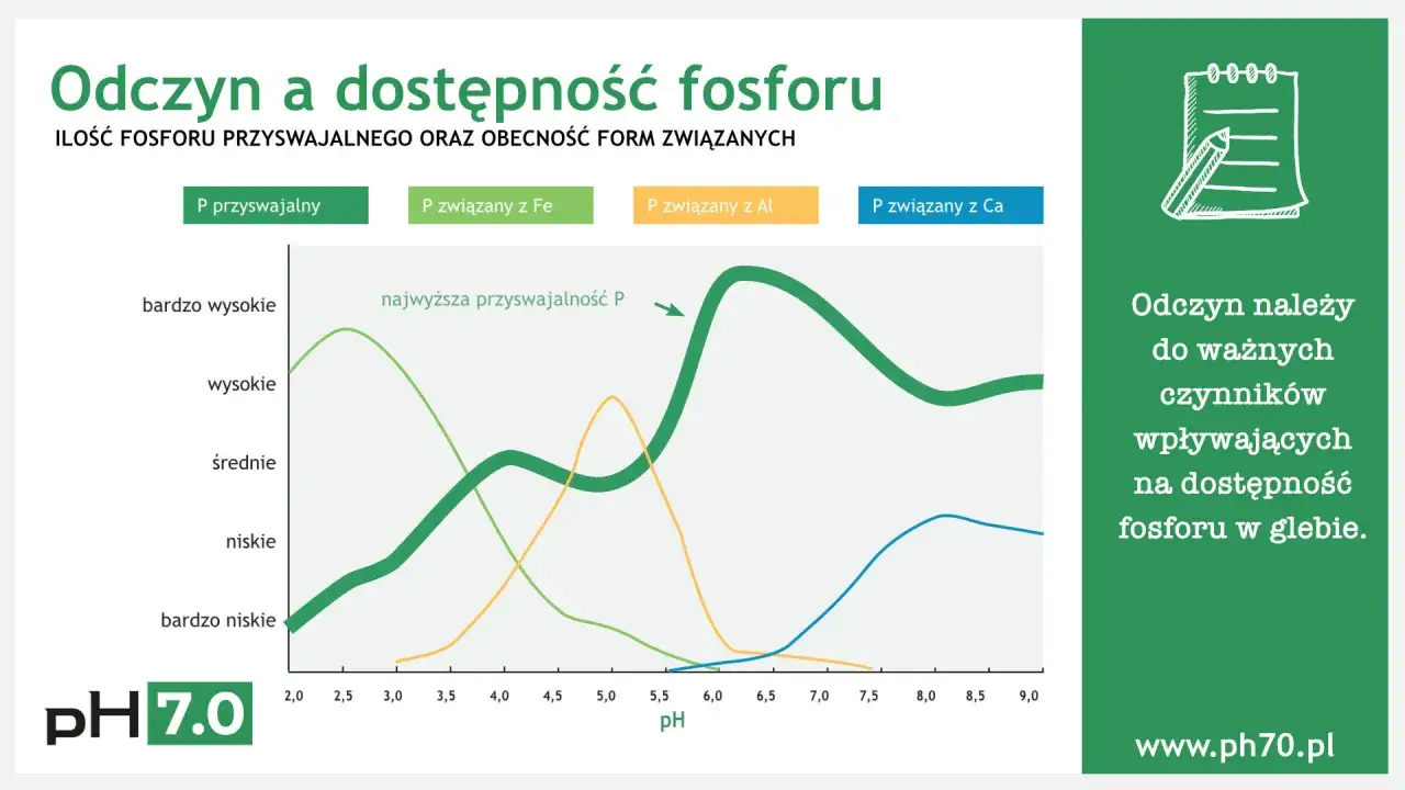 Wykres pokazuje zależność przyswajalności fosforu od pH gleby, kluczowego dla nawożenia roślin.