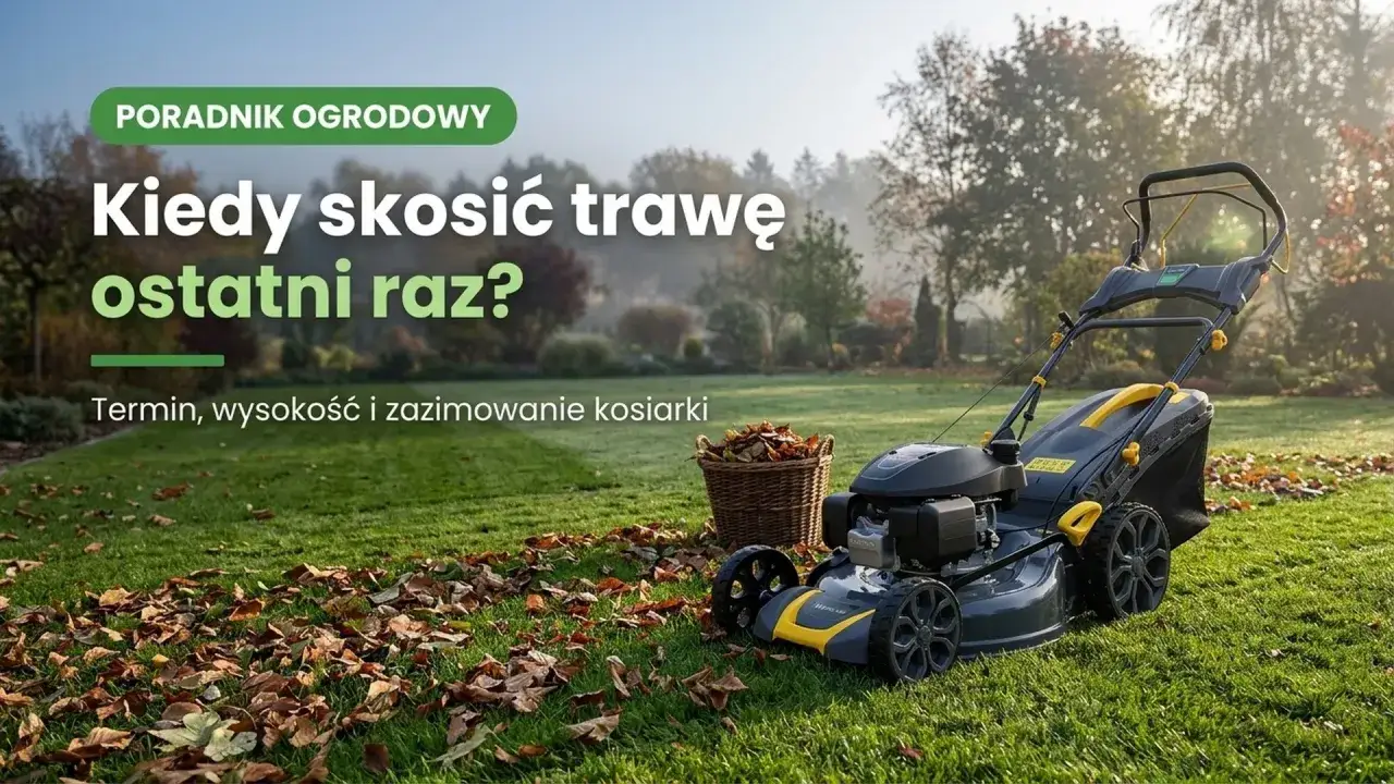 Kiedy kosić trawę przed zimą? Kosiarka ogrodowa i kosz liści na trawniku. Poradnik ogrodowy.