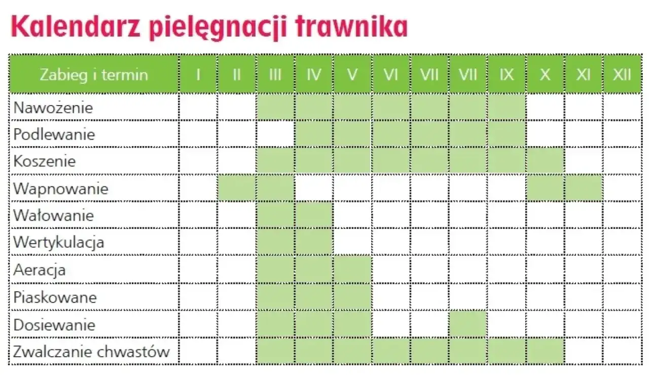 Kalendarz pielęgnacji trawnika: nawożenie trawnika kiedy? Sprawdź harmonogram na cały rok, od wiosny do jesieni.