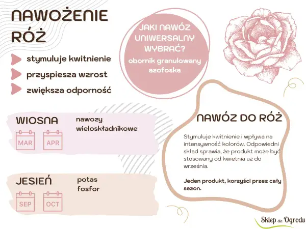 Wskazówki dotyczące nawożenia róż: stymulacja kwitnienia, przyspieszenie wzrostu i zwiększenie odporności. Wiosną nawozy wieloskładnikowe, jesienią potas i fosfor.